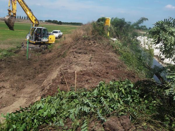 RIQUALIFICAZIONE CAVO LAGOZZO (PAVIA)